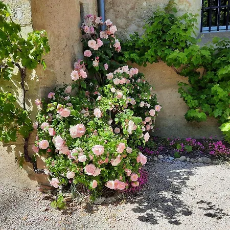 Chateau De Gardes Bed and breakfast 3*